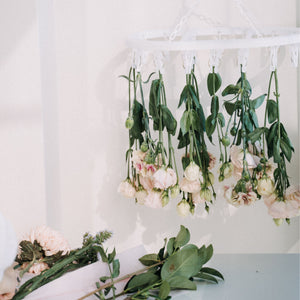 EXTRA LOVE & DETAILS (POPULAR)